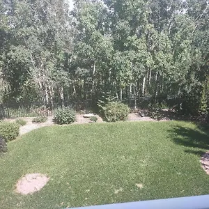 Spacious One Bedroom Walkout Basement Calgary